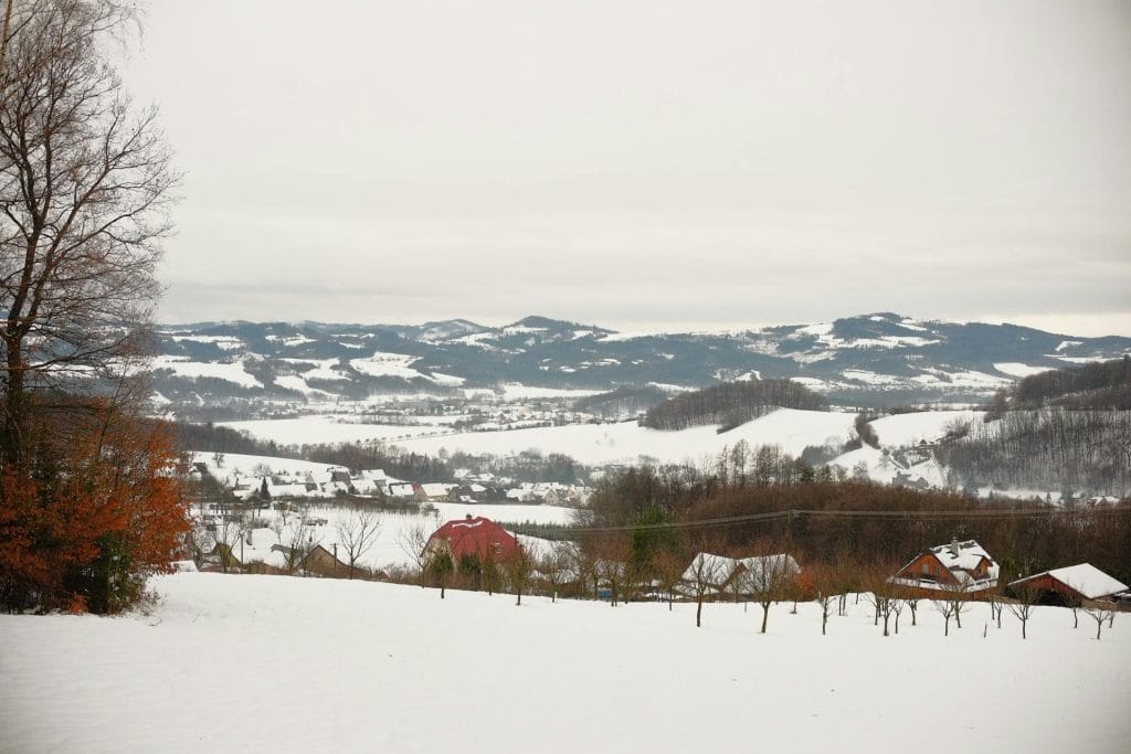 pexels-jaroslav-maler-917944782-19949895