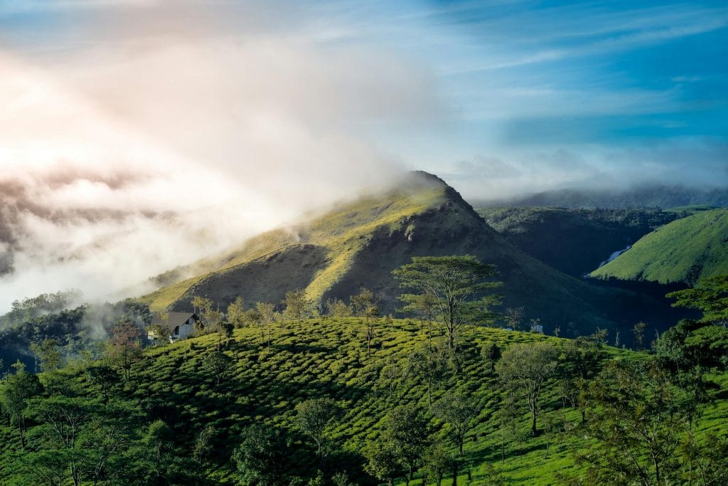 pexels-nandhukumar-14844304